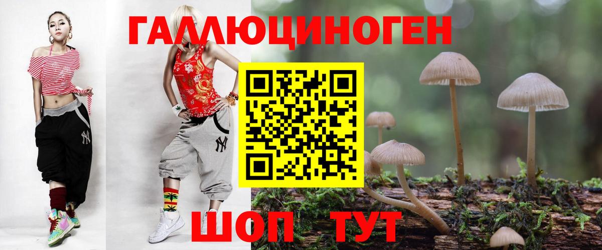 Галлюциногенные грибы Psilocybine cubensis  Вход с VPN  Псилоцибиновые грибы Psilocybe  Братск 